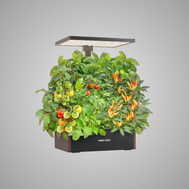 Hydroponics Growing System Kit, 20 Pod Indoor Herb Garden with 10L Water Tank and LED Grow Light, Black