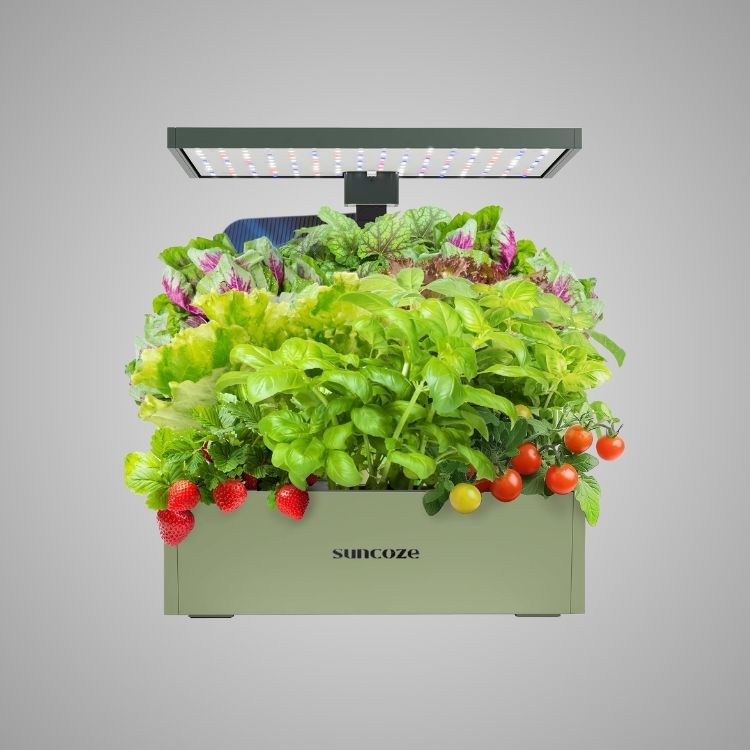 Hydroponics Growing System Kit, 20 Pod Indoor Herb Garden with 10L Water Tank and LED Grow Light, Black
