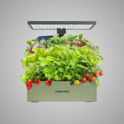 Hydroponics Growing System Kit, 20 Pod Indoor Herb Garden with 10L Water Tank and LED Grow Light, Black