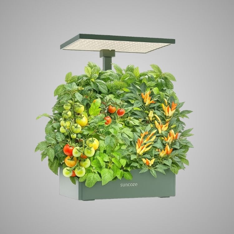 Hydroponics Growing System Kit, 20 Pod Indoor Herb Garden with 10L Water Tank and LED Grow Light, Black
