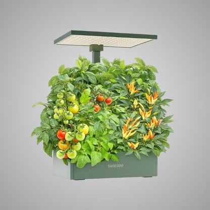 Hydroponics Growing System Kit, 20 Pod Indoor Herb Garden with 10L Water Tank and LED Grow Light, Black