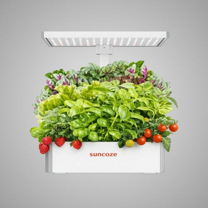 Hydroponics Growing System Kit, 20 Pod Indoor Herb Garden with 10L Water Tank and LED Grow Light, Black