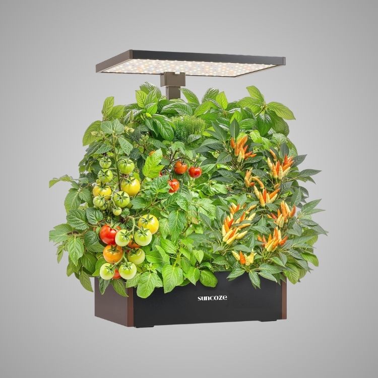 Hydroponics Growing System Kit, 20 Pod Indoor Herb Garden with 10L Water Tank and LED Grow Light, Black