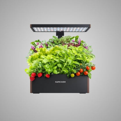 Hydroponics Growing System Kit, 20 Pod Indoor Herb Garden with 10L Water Tank and LED Grow Light, Black