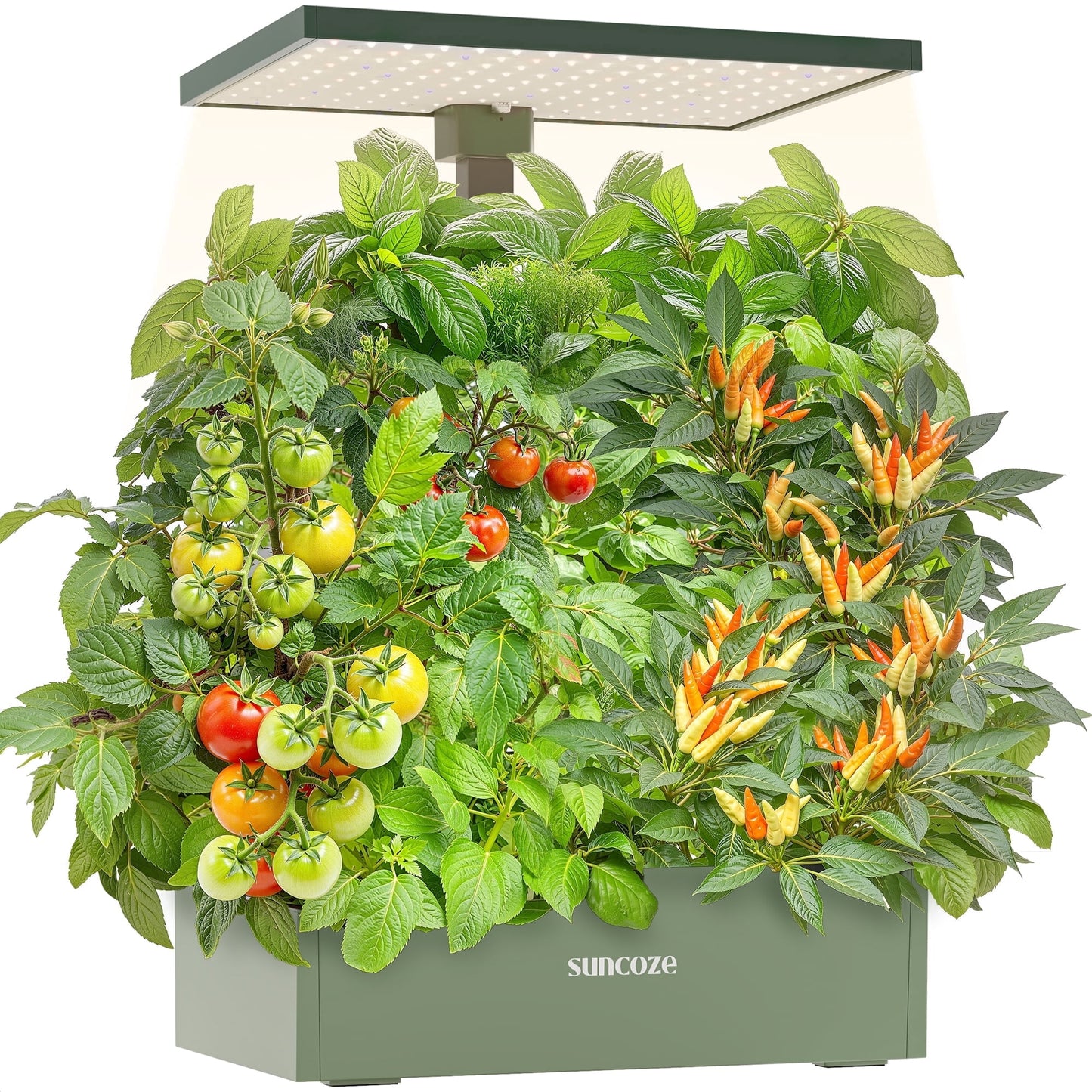 Hydroponics Growing System Kit, 20 Pod Indoor Herb Garden with 10L Water Tank and LED Grow Light, Black